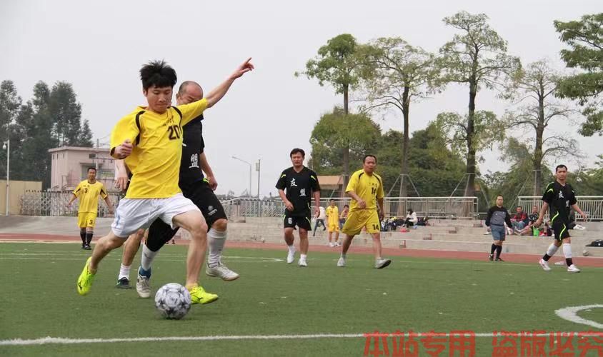 DUOMI SPORTS 官方正版网站