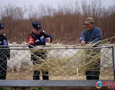 多米真人-天津飞船击败内蒙古猎手队,取得胜利了吗